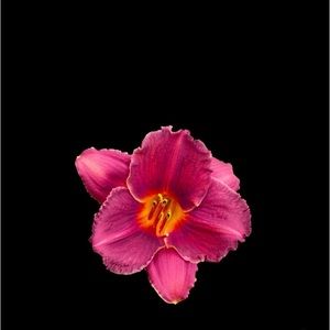 Meet your Posher, Aaliyah